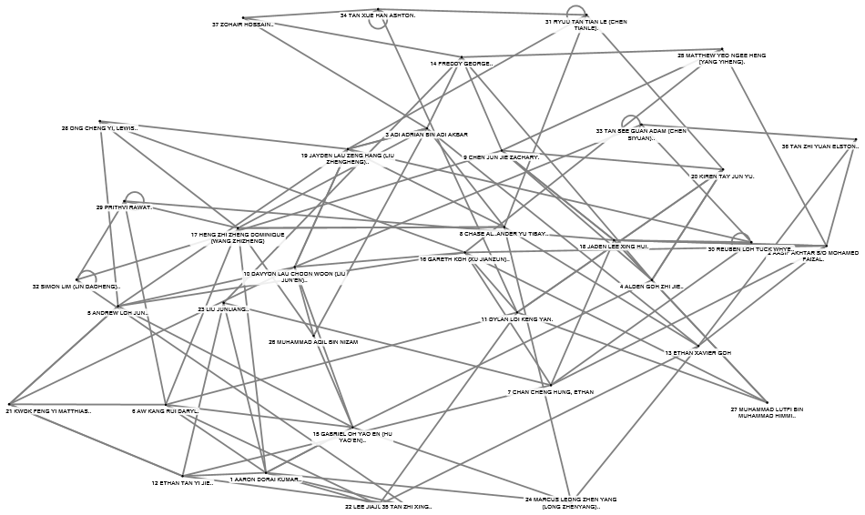 NodeXLGraph1