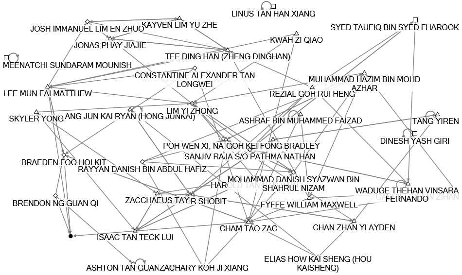 NodeXLGraph1