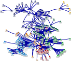 2019-09-23 02-54-21 NodeXL.xlsx