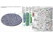 Emotional Intelligence Twitter NodeXL SNA Map and Report for Wednesday, 19 May 2021 at 22:55 UTC