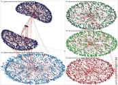 Twitter Users Contraception Influencers User Network Analysis
