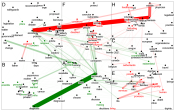 NodeXLGraph - Unique Words - Yes and No Final Version 28.07.2025 smallert.xlsx