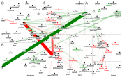 NodeXLGraph - Unique Words - Yes and No Final Version 28.07.2025 15:35.xlsx